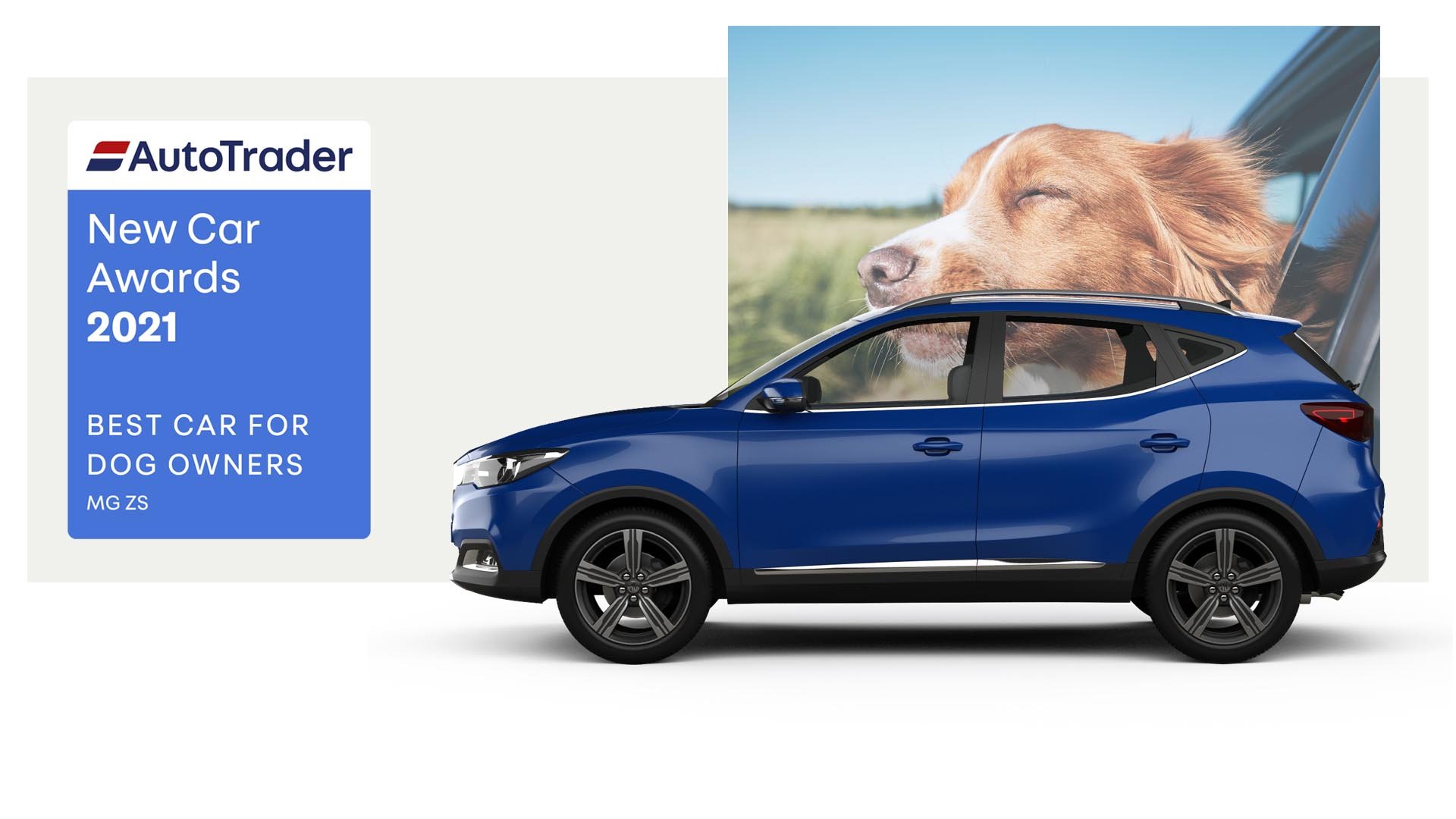 Best Car for Dog Owners Award 2021 MG ZS AutoTrader